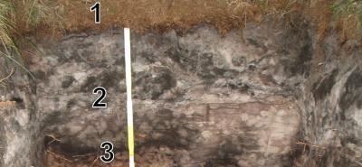 383-Zcgb_K_profiel_Schilde_bijgesneden